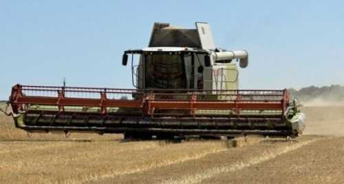 На Київщині зібрали понад 1 млн тонн зерна нового врожаю - INFBusiness