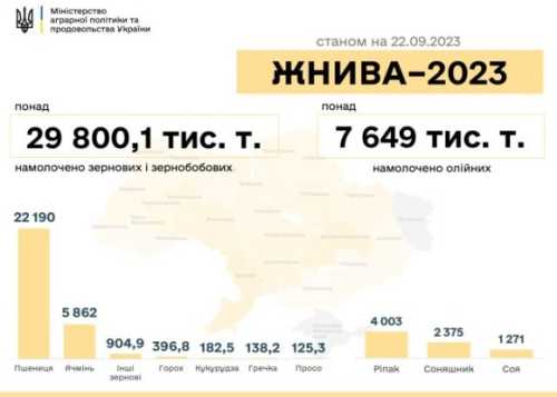 В Україні зібрали 37,4 млн тонн нового врожаю - INFBusiness