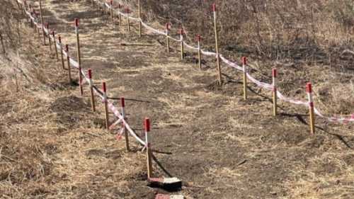 Власники паїв на Миколаївщині чекають на виплати за оренду за минулий рік - INFBusiness