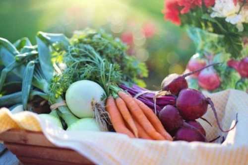 З початку року відбулось пожвавлення на ринку органічної продукції - INFBusiness