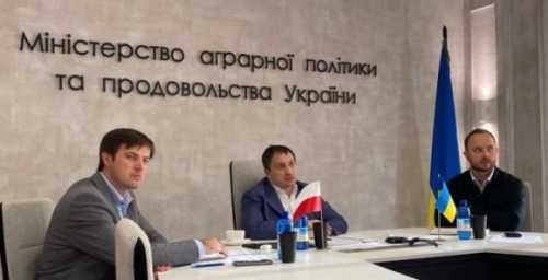 Польща закликала Україну відкликати скаргу до СОТ - INFBusiness