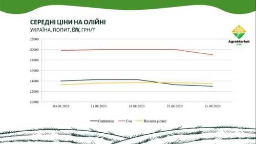 Підсумки серпня на ринку зернових та олійних - INFBusiness