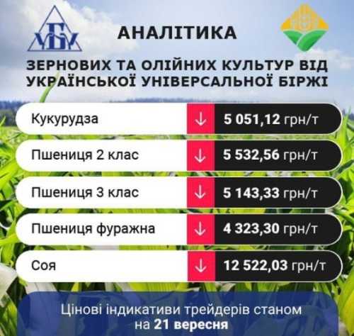 Проміжні підсумки цінових індикативів за 18-21 вересня - INFBusiness