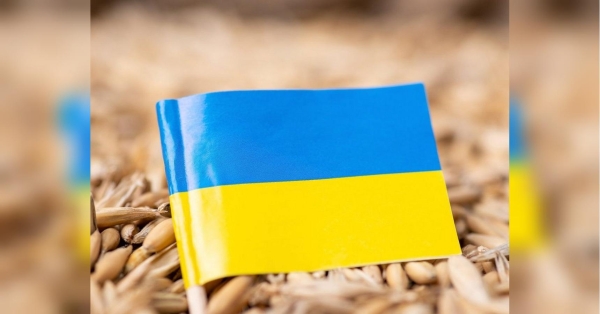 Прорив у вирішенні проблеми експорту українського зерна: про що домовилися Київ, Варшава та Вільнюс - INFBusiness