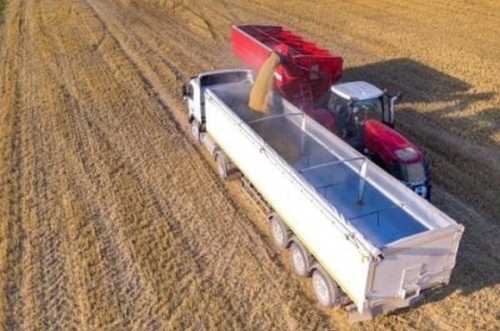 У вересні Україна експортувала 4,2 млн т агропродукції - INFBusiness