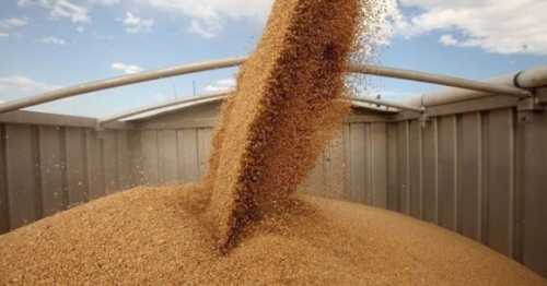 Уряд планує змінити правила для експортерів аграрної продукції - INFBusiness