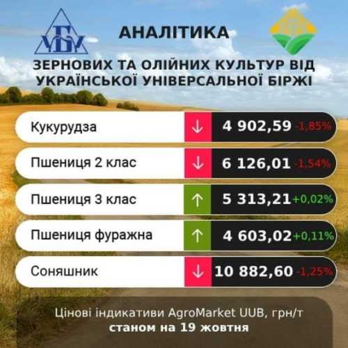 В AgroMarket UUB від Української універсальної біржі оновлено проміжні підсумки за період 16-19 жовтня. Проміжні підсумки цінових індикативів за 16-19 жовтня - INFBusiness