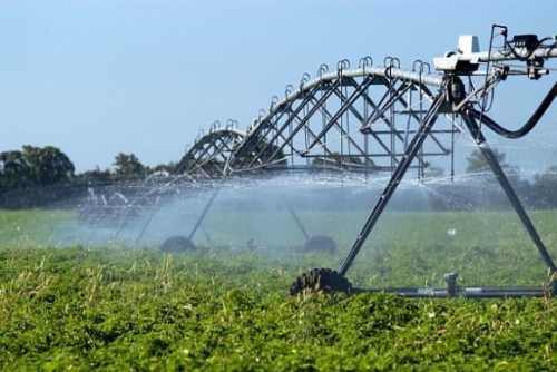 Площа зрошуваних земель у південних областях збільшилась на 6% - INFBusiness