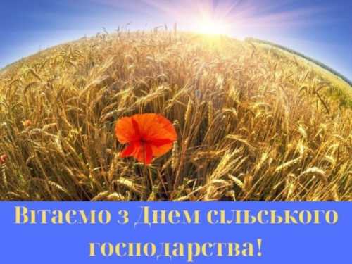 Вітаємо з Днем сільського господарства - INFBusiness