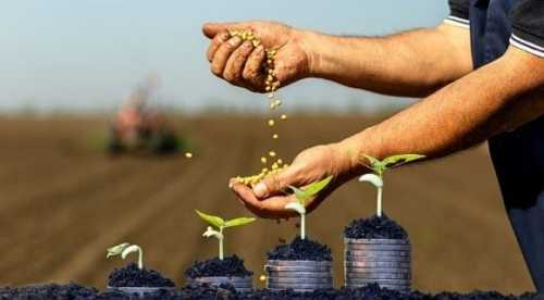 З початку року аграрії отримали понад 65 млрд грн банківських кредитів - INFBusiness