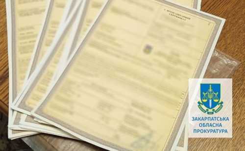 На Закарпатті чиновники підробляли фітосанітарні сертифікати для експорту зерна - INFBusiness