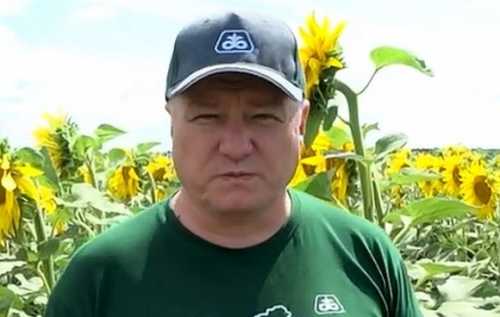 Чотири поради для агрономів, які планують весняні посіви соняшнику - INFBusiness