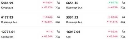 Агробот – інформер з цінами на зерно на вашому сайті - INFBusiness