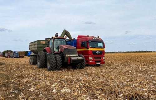 Cygnet Agrocompany завершив збирання врожаю. Загалом було зібрано понад 156 тис. т зернових (кукурудза, озима пшениця), понад 10 тис. т олійних (соняшник) та понад 8 тис. т зернобобових (соя) культур. Cygnet Agrocompany відзвітував про врожайність 2023 року - INFBusiness