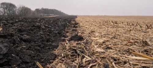 Міністр агрополітики Микола Сольський до повномасштабного вторгнення прогнозував зростання вартості землі орієнтовно на 10−15% на рік – попри бойові дії, цей прогноз виявився вірним. З 1 січня розпочався другий етап ринку землі. Чи вплине він на вартість землі? Другий етап ринку землі: що прогнозують експерти - INFBusiness