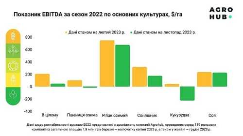 Олійні культури виявились прибутковими, зернові – збитковими, – аналітики - INFBusiness