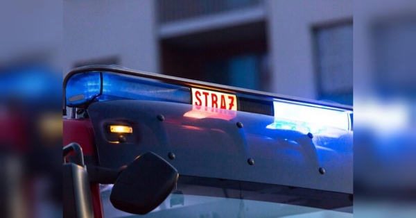 15-річний хлопець, громадянин Чехії, втік з дому, щоб воювати в Україні проти росії, як це роблять добровольці Інтернаціонального легіону. Йому вдалося дістатися до Польщі, а потім перетнути кордон з нашою державою. Завдяки співпраці чеських, польських та українських служб підліток був затриманий і незабаром буде з батьками, повідомили в Сілезькому відділенні прикордонної служби в Польщі. 15-річний чеський школяр втік з дому, щоб воювати в Україні - INFBusiness