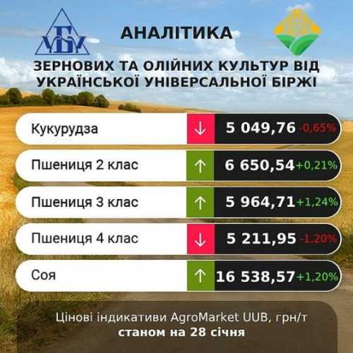 Цінові індикативи на зерно за 22-28 січня - INFBusiness