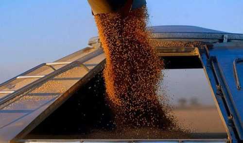 До кінця 2023/2024 МР Україна має експортувати майже 40 млн т агропродукції, – Денис Марчук - INFBusiness