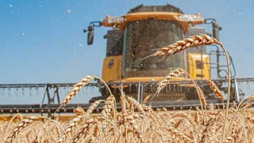 У Польщі стурбовані імпортом української агропродукції - INFBusiness