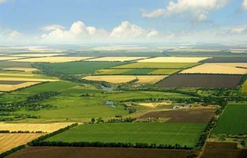 Продаж землі великим корпораціям під час війни – вкрадене майбутнє молодих агровиробників, – Ігор Новицький - INFBusiness
