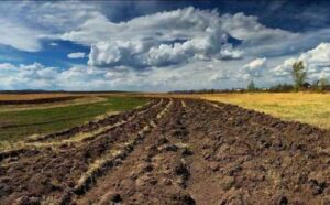 Прибережні землі розорювати не можна, – прокуратура
