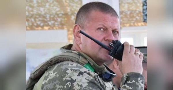 У Зеленського відповіли щодо звільнення Залужного - INFBusiness