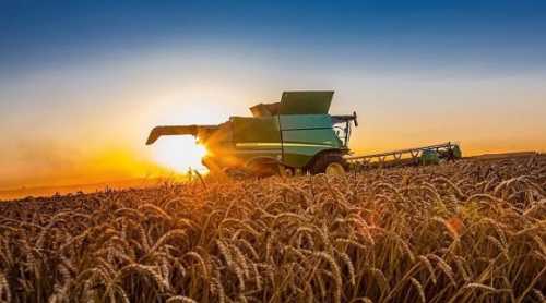 Українське сільське господарство здатне дестабілізувати продовольчу безпеку в ЄС, – заступник міністра Польщі - INFBusiness