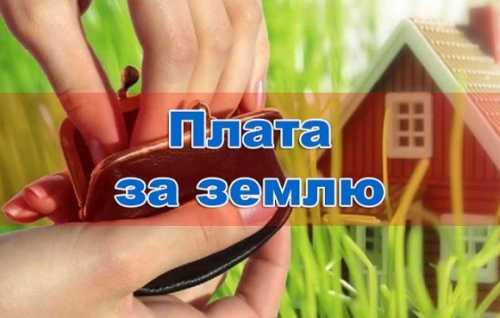 Сплата земельного податку у 2024 році: роз’яснення податкової - INFBusiness
