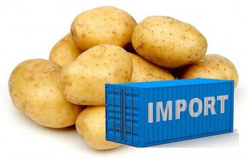 Україна почала імпортувати картоплю з Польщі, Литви та Латвії - INFBusiness