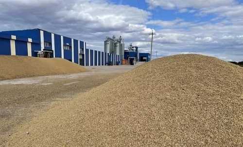 За першу половину 2023/24 МР Україна експортувала 31 млн тонн агропродукції - INFBusiness