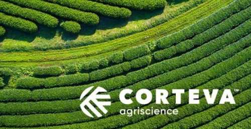 Corteva звітує за четвертий квартал та весь 2023 рік та дає прогноз на 2024 рік - INFBusiness
