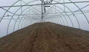 ПАЕК готуютєся висаджувати розсаду