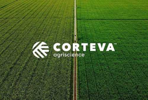 В Україні зростає попит на насіння передової генетики бренду Pioneer® та інноваційні засоби захисту рослин від Corteva Agriscience - INFBusiness