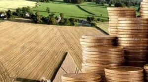 Активно купувати землю юридичні особи почнуть через пів року