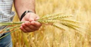 Державні програми підтримки аграріїв будуть діяти і цьому році, – Тарас Висоцький