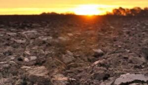 ЄС звільнив фермерів від вимоги тримати 4% землі під паром
