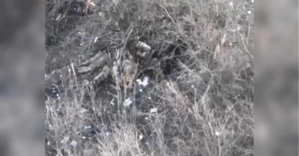 Окупанти знову розстріляли бійців ЗСУ, що здалися в полон (відео 18+) - INFBusiness