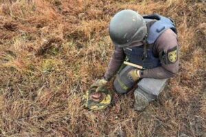 Угорщина долучиться до розмінування України