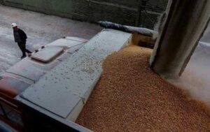 Україна не проти перевірок Польщею транзитного зерна, – Сольський