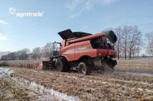 Agrotrade відновив жнива кукурудзи на Сумщині