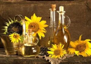 Вартість експорту олійних культур минулого року впала на 25%