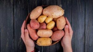 Погіршення якості змусило виробників знижувати ціни на картоплю