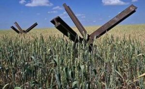 Втрати ринку землі від повномасштабного вторгнення росії сягають $325 млн, – аналітики