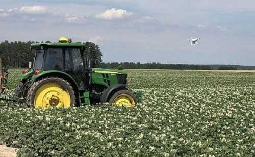 Нідерланди відкриють в Україні демонстраційний центр картоплі - INFBusiness