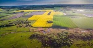 Верховна Рада може перенести строки оформлення невитребуваних земельних паїв