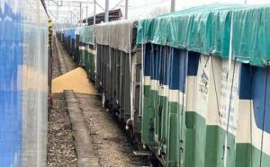 У Польщі знову воюють із зерном