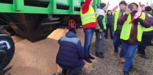 Польські протестувальники перекрили залізницю та висипали зерно з вагону