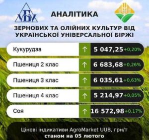 На ринку соняшника можливе спекулятивне зростання цін, – аналітики