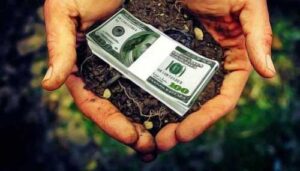 Експерти очікують зростання вартості землі на 40%